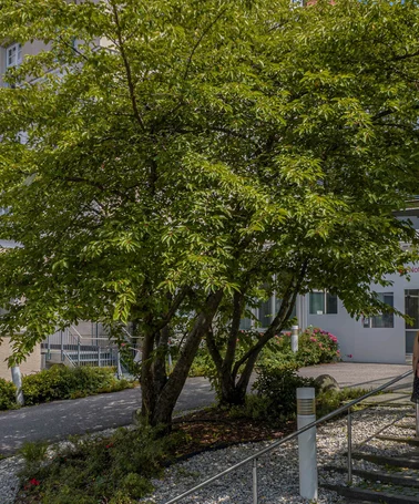 SCH&Ouml;N KLINIK M&Uuml;NCHEN HARLACHING